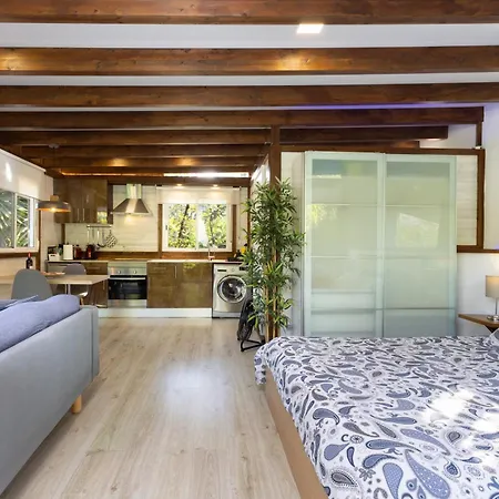 Home2book Modern Strelitzia, Peace Retreat Apartment La Orotava