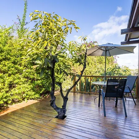 Apartman Home2book Modern Strelitzia, Peace Retreat La Orotava