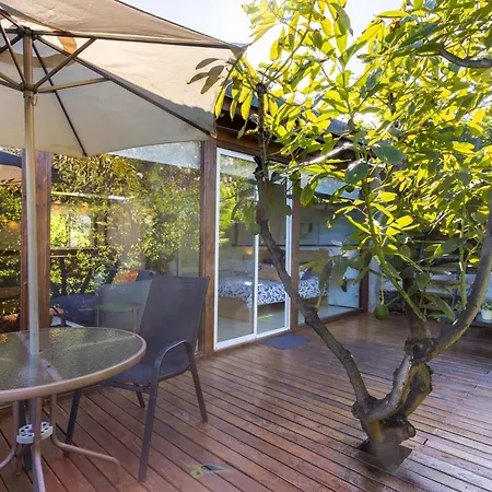 Home2book Modern Strelitzia, Peace Retreat Apartman La Orotava