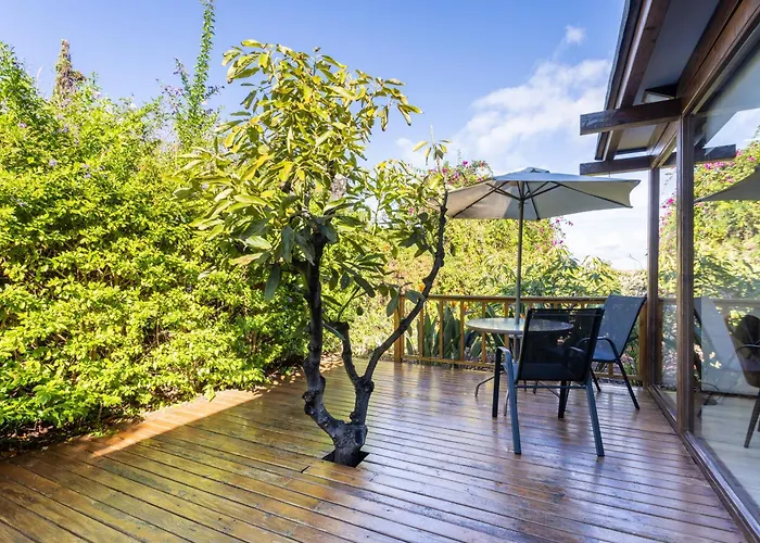 Apartment Home2book Modern Strelitzia, Peace Retreat La Orotava