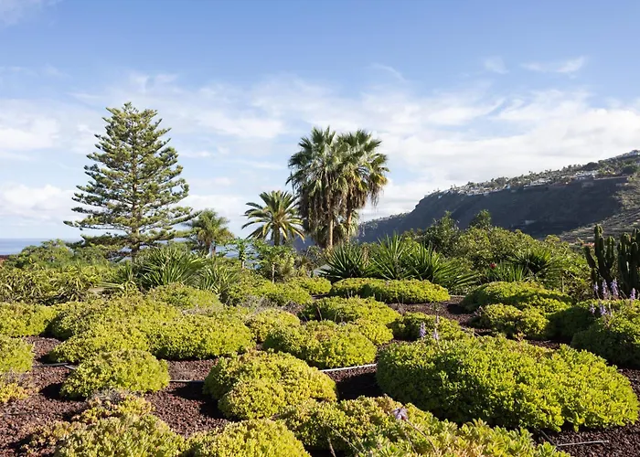 Home2book Modern Strelitzia, Peace Retreat