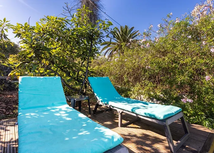 شقة Home2book Modern Strelitzia, Peace Retreat *