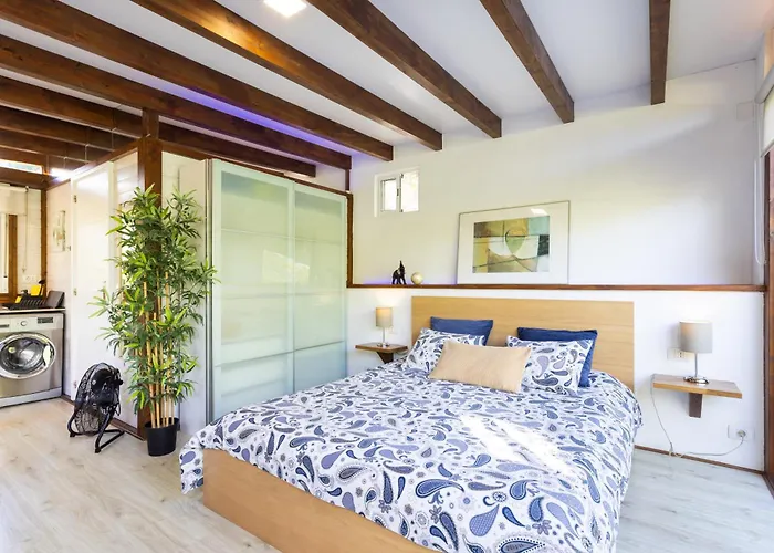 Apartment Home2book Modern Strelitzia, Peace Retreat La Orotava