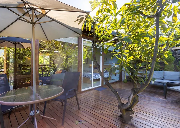 Home2book Modern Strelitzia, Peace Retreat Apartment La Orotava