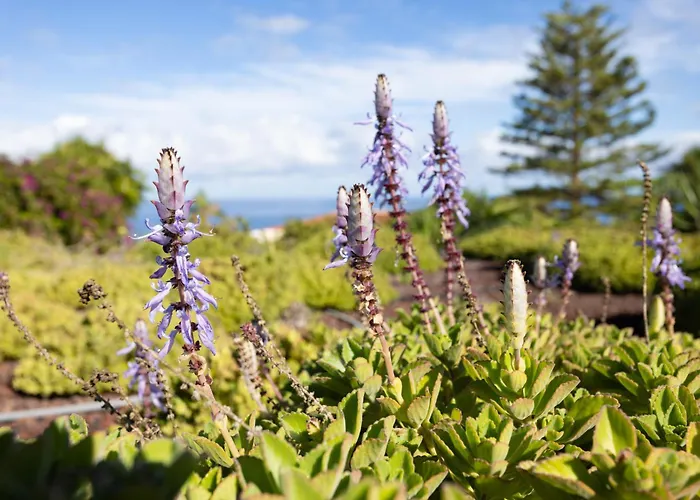 Home2book Modern Strelitzia, Peace Retreat Lägenhet *