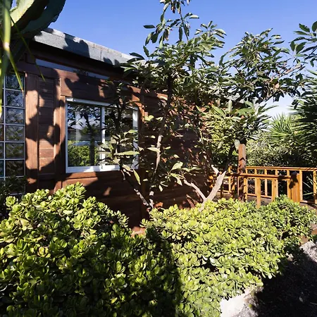 Home2book Modern Strelitzia, Peace Retreat *